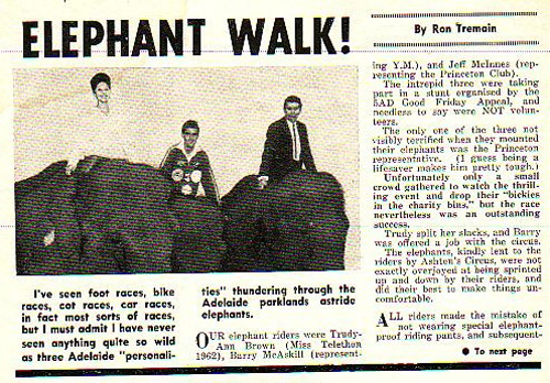 12 Elephant Race