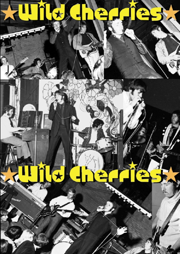 26 Wild Cherries